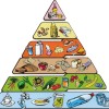 Как составить для себя пищевую пирамиду?