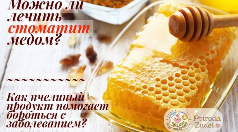 Можно ли лечить стоматит медом?