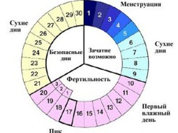 Как правильно считать цикл месячных?