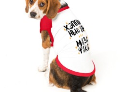 Где можно купить футболку для собаки?