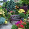 Как подобрать декоративные растения чтобы они красиво смотрелись в саду