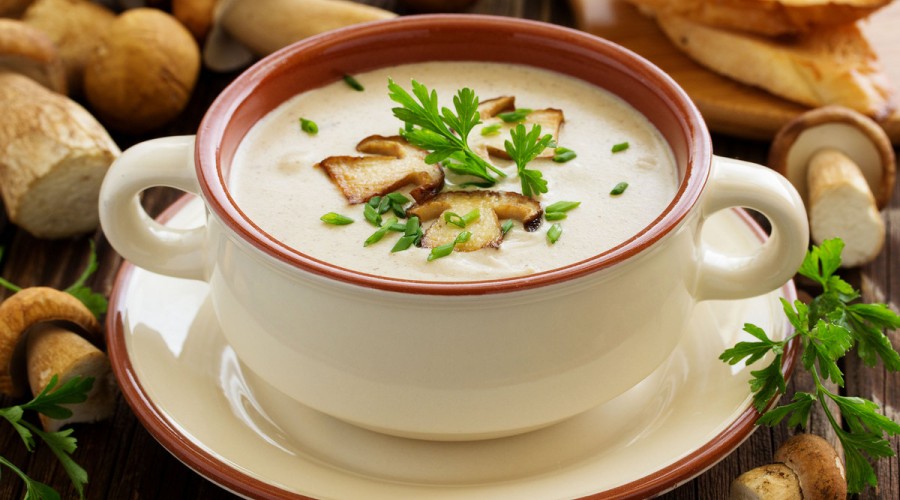 Как приготовить вкусный кремовый суп с белыми грибами