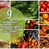 Какие продукты повышают гемоглобин у ребенка