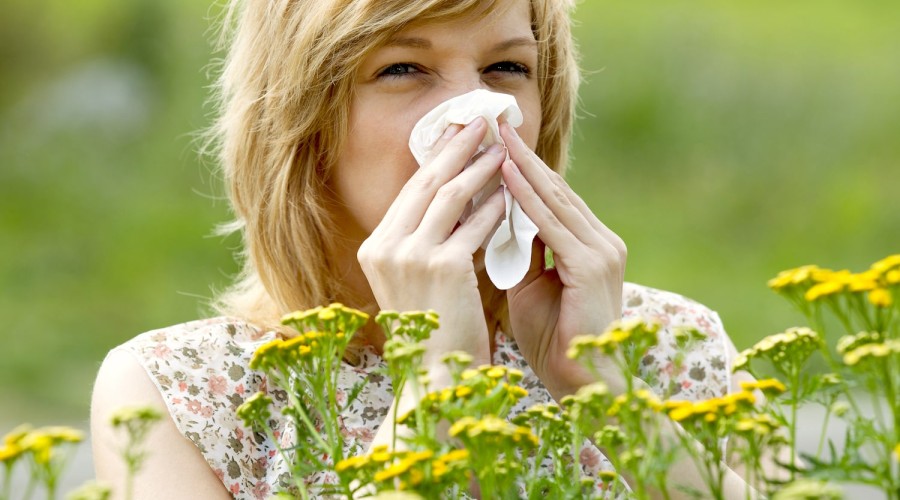 Весенне-летние аллергические реакции и как с ними бороться - Аллергии