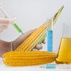Что такое ГМО и пищевые добавки