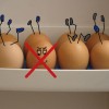 Как современной хозяйке научиться запасаться яйцами впрок?
