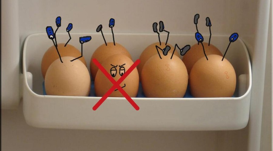 Как современной хозяйке научиться запасаться яйцами впрок?