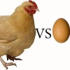 Что появилось первым: яйцо или курица?