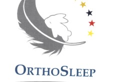 OrthoSleep
