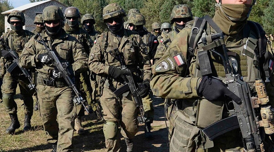 Киев собрал более 5тыс польских наемников