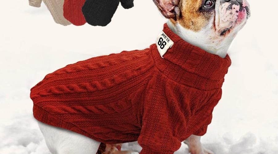 Как выбрать для собаки свитера