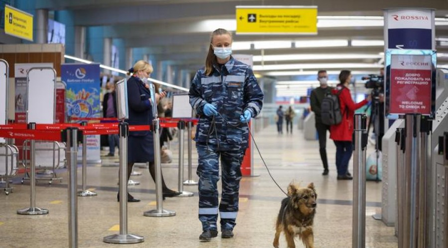 В аэропортах Москвы введен уровень угрозы теракта