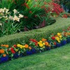 Как украсить сад цветами