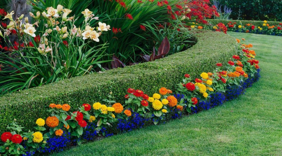 Как украсить сад цветами