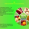 В каких продуктах содержится витамин В5