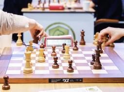Шахматный  турнир в Одинцовском парке.