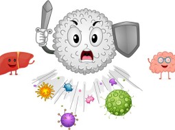Что такое иммунитет и как он работает?