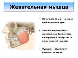 Как можно лечить область жевательных мышц?