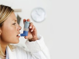 Выявленны иммунные клетки, которые предотвращают развитие астмы