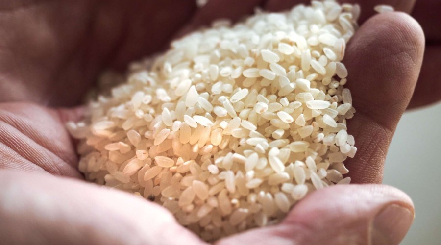 Как приготовить рис с тушенкой?