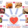 Продукты, которые сохраняют здоровье нашего сердца