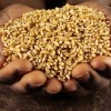 Россия готова обеспечить сельхозпродукцией страны Африки