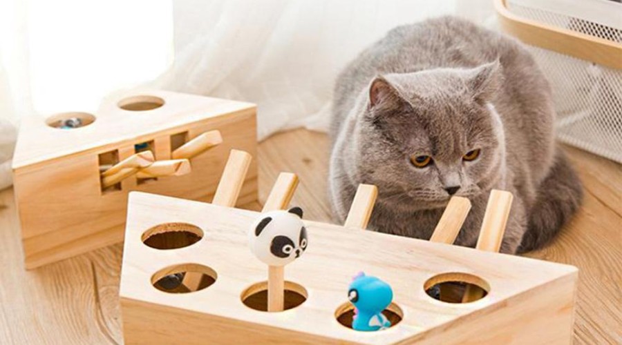 Игрушки для кошек. Что можно сделать из подручных средств
