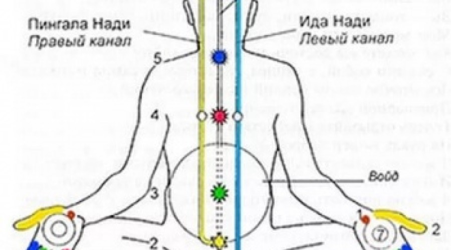 Можно ли научиться рейки самостоятельно?