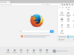 Firefox Sync - позволит синхронизировать плагины