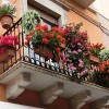 Штраф за цветы на балконе