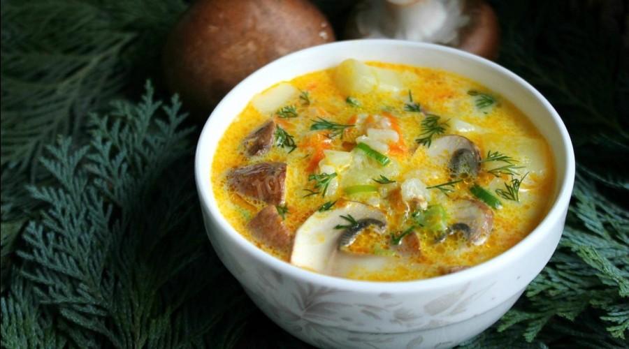 Как приготовить питательный суп с шампиньонами и курицей?