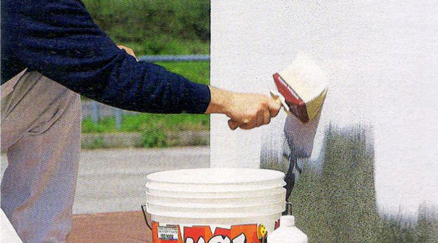 Как защитить бетонные стены от плесени