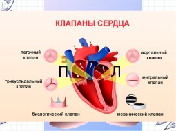 Что представляет собой заболевание клапанов сердца?