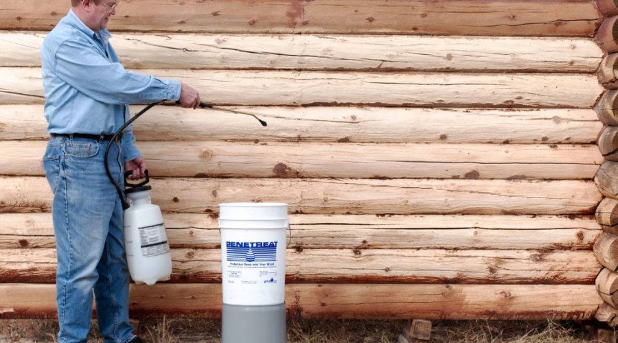 Как защитить деревянный дом от насекомых и грибков