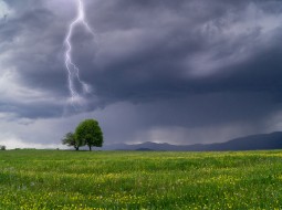 Что делать, если вы попали в грозу