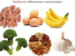 Какие продукты для повышения потенции бывают