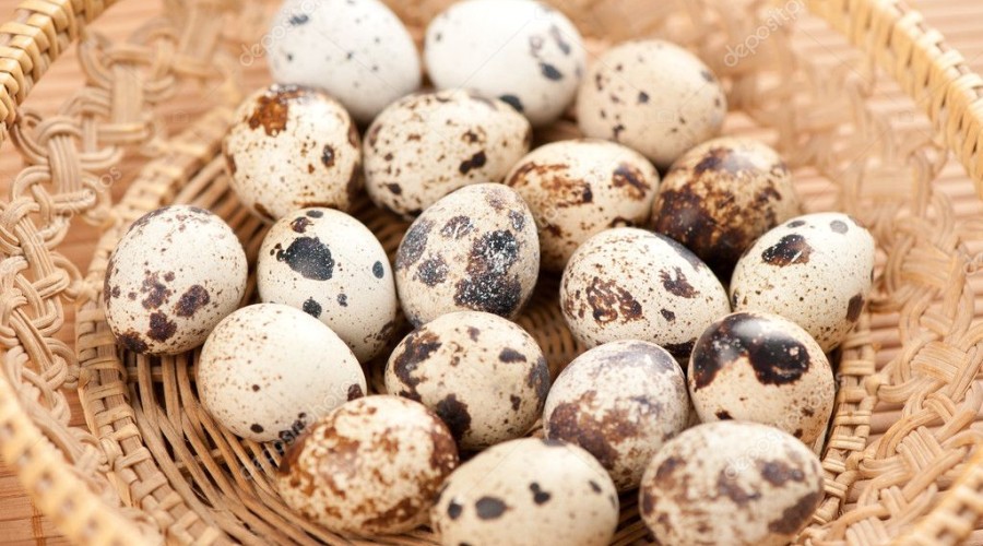 Перепелиные яйца: чем полезны для здоровья?