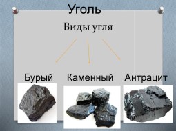 Какие существуют виды угля и что такое шахтерская канарейка?