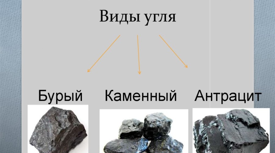 Какие существуют виды угля и что такое шахтерская канарейка?