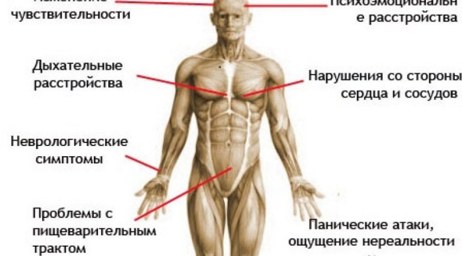 Что такое вегето-сосудистая дистония 