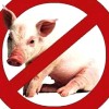 Почему мусульмане не едят свинину