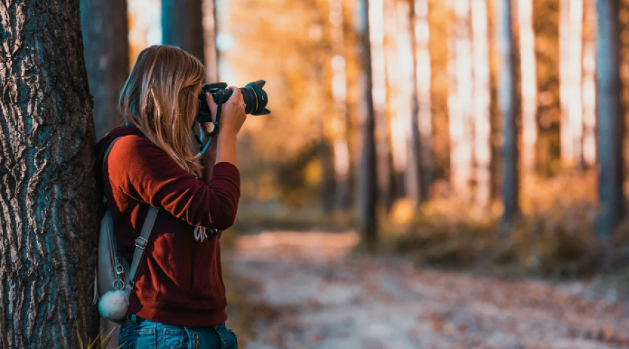 Как научиться фотографировать и начать зарабатывать деньги в декрете