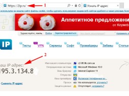 Как узнать ваш IP-адрес?