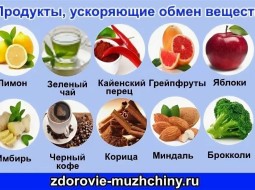 Какие продукты питания стимулируют и ускоряют обмен веществ