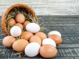 Как проверить яйца на свежесть