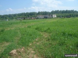 5 гектаров фермерского хозяйства в поселке РАОС 20 км МКАД